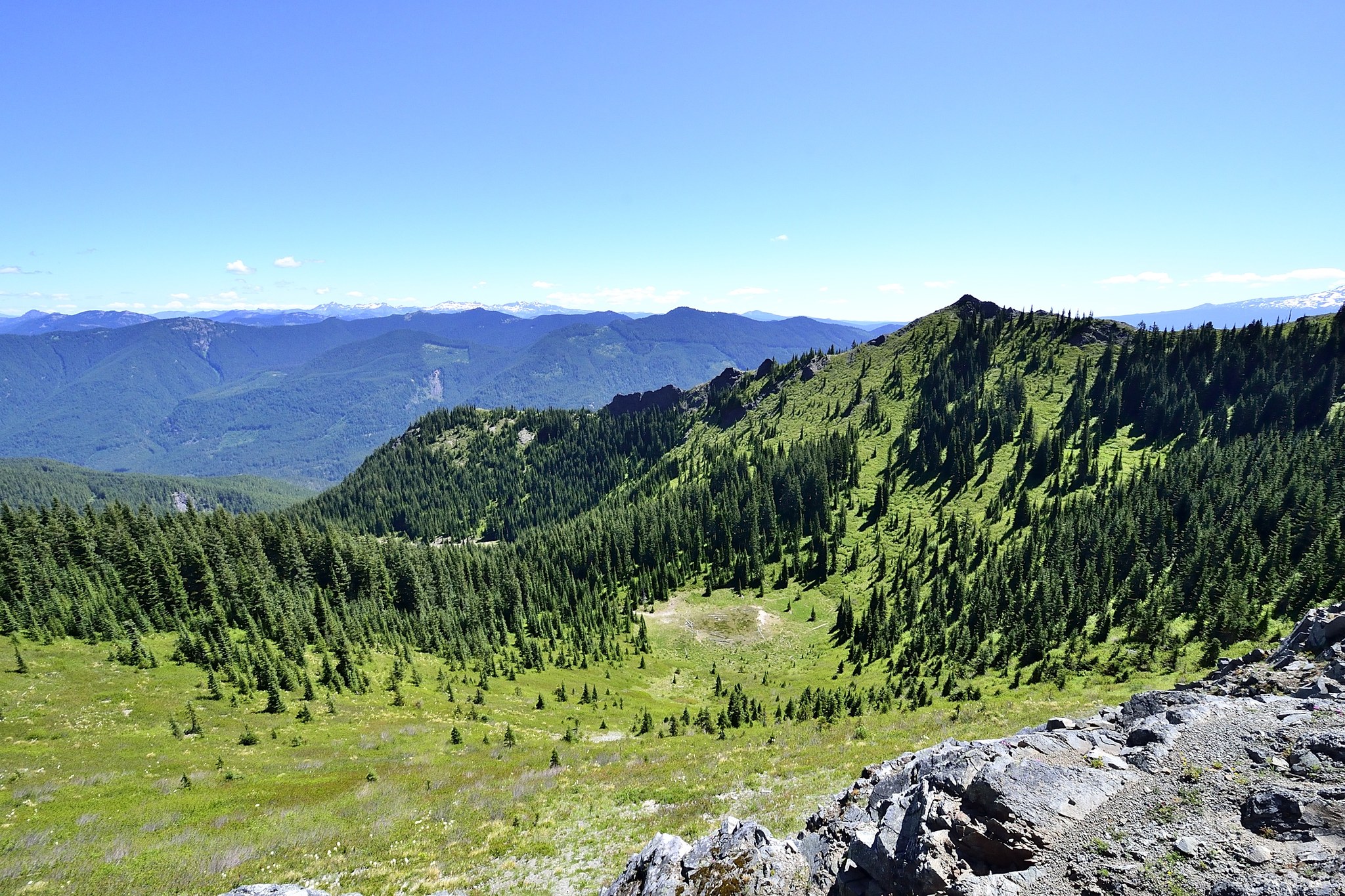 Juniper Ridge — Washington Trails Association